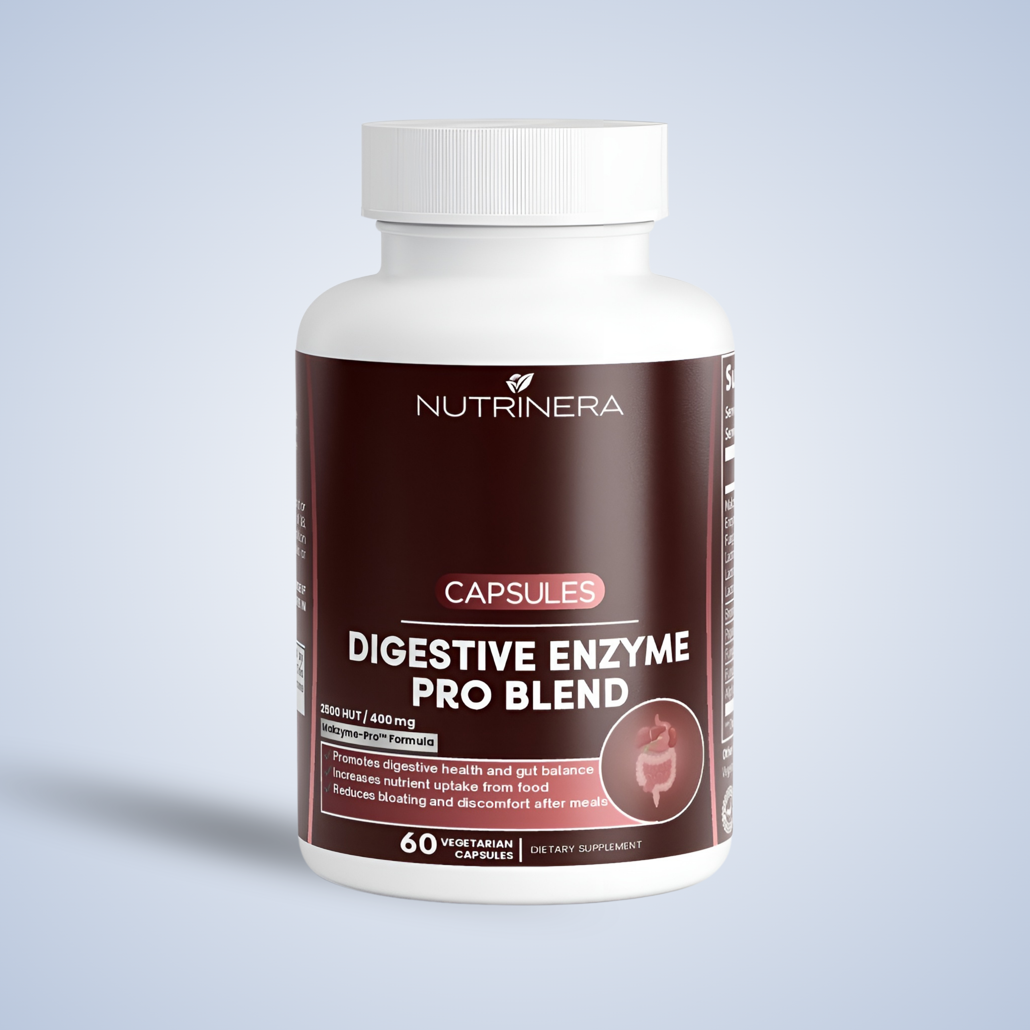DIGESTIVE ENZYME PRO BLEND (T)